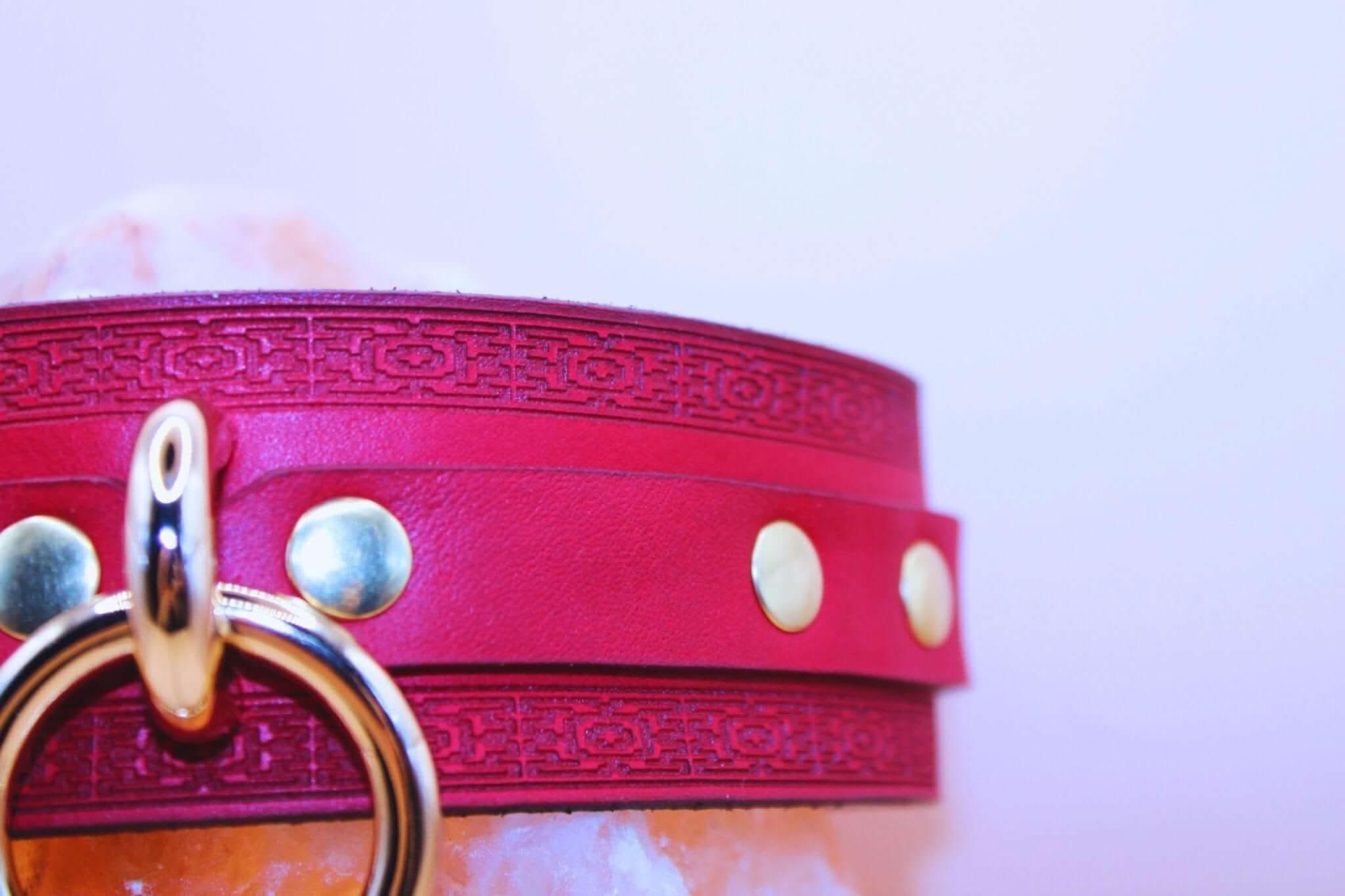 Crimson Red BDSM Collar Handmade Choker With O Ring-2